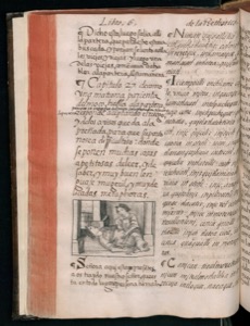 Imagenes hr codice florentino vol2 hr — Bernardino de Sahagún