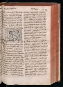 Página de un manuscrito antiguo con texto en español — Bernardino de Sahagún