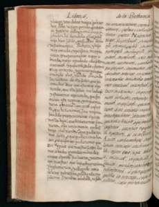 Imagenes hr codice florentino vol2 hr — Bernardino de Sahagún