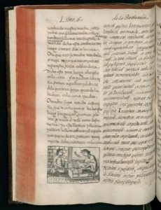 Imagenes hr codice florentino vol2 hr — Bernardino de Sahagún