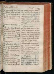 Página de un códice o manuscrito antiguo — Bernardino de Sahagún