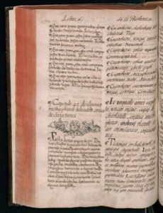 Imagenes hr codice florentino vol2 hr — Bernardino de Sahagún