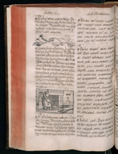 Página de un libro antiguo impreso — Bernardino de Sahagún