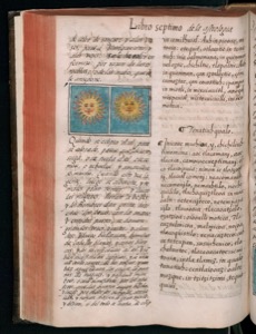Imagenes hr codice florentino vol2 hr — Bernardino de Sahagún