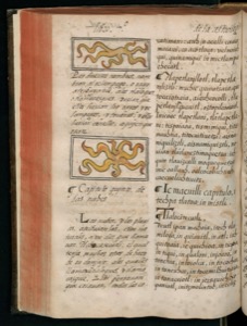 Página de un manuscrito medieval que presenta dos ilustraciones estilizadas — Bernardino de Sahagún