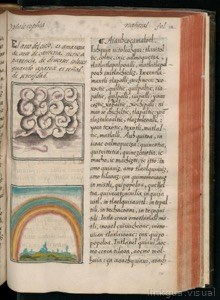 Imagenes hr codice florentino vol2 hr — Bernardino de Sahagún