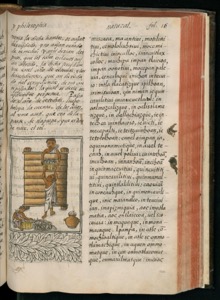 Imagenes hr codice florentino vol2 hr — Bernardino de Sahagún
