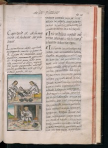 Imagenes hr codice florentino vol2 hr — Bernardino de Sahagún