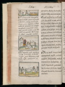 Página de un códice o manuscrito colonial con texto manuscrito — Bernardino de Sahagún