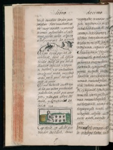 Página de un libro o manuscrito antiguo con texto — Bernardino de Sahagún