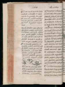 Página abierta de un antiguo volumen — Bernardino de Sahagún