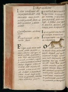 Página de un antiguo manuscrito — Bernardino de Sahagún