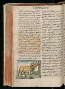 Imagenes hr codice florentino vol3 hr — Bernardino de Sahagún (coord.)