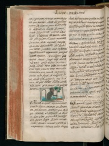 Imagenes hr codice florentino vol3 hr — Bernardino de Sahagún (coord.)
