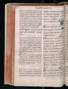 Imagenes hr codice florentino vol3 hr — Bernardino de Sahagún