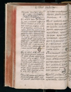 Imagenes hr codice florentino vol3 hr — Bernardino de Sahagún (coord.)