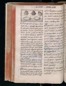 Imagenes hr codice florentino vol3 hr — Bernardino de Sahagún (coord.)