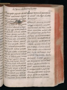Imagenes hr codice florentino vol3 hr — Bernardino de Sahagún (coord.)