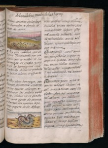 Imagenes hr codice florentino vol3 hr — Bernardino de Sahagún