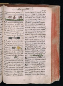 Imagenes hr codice florentino vol3 hr — Bernardino de Sahagún (coord.)
