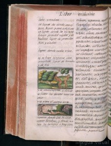 Imagenes hr codice florentino vol3 hr — Bernardino de Sahagún (coord.)