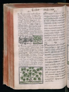 Imagenes hr codice florentino vol3 hr — Bernardino de Sahagún (coord.)