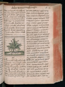 Un volumen antiguo abierto — Bernardino de Sahagún