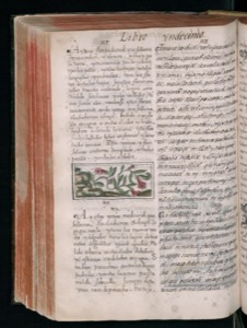 Imagenes hr codice florentino vol3 hr — Bernardino de Sahagún (coord.)