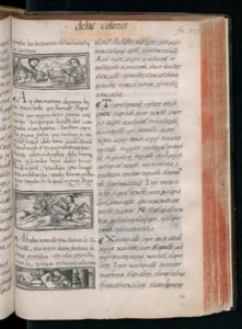 Página de un antiguo libro impreso con texto en columnas — Bernardino de Sahagún