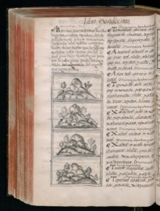 Página de un códice o libro antiguo abierto — Bernardino de Sahagún