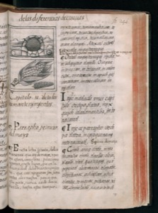 Imagenes hr codice florentino vol3 hr — Bernardino de Sahagún (coord.)
