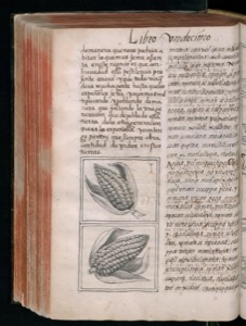 Imagenes hr codice florentino vol3 hr — Bernardino de Sahagún (coord.)