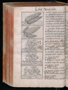 Imagenes hr codice florentino vol3 hr — Bernardino de Sahagún (coord.)