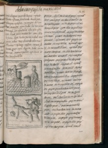 Páginas de un libro antiguo con texto en español — Bernardino de Sahagún