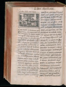 Página de un antiguo libro abierto