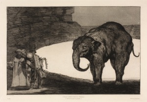 Imagenes hr disparates, nº 20 — Francisco Goya