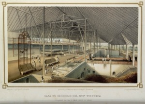 Salinas de Cumaná: Vista general de las salinas y la fábrica — Eduardo Laplante