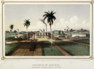 Ingenio de Rafael — Eduardo Laplante