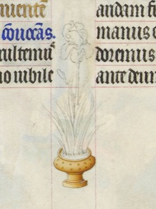 Flor en maceta con texto gótico y decoraciones — Hermanos Limbourg