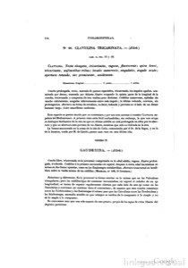 Imagenes page 0123 img 01
