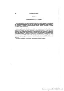 Imagenes page 0131 img 01