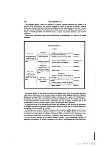 Imagenes page 0133 img 01