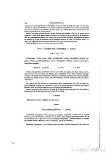 Imagenes page 0139 img 01