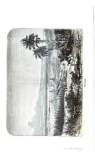 Imagenes — Anónimo (ilustración colonial)