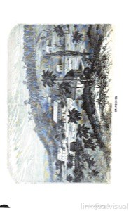 Imagenes — Anónimo (ilustración colonial)