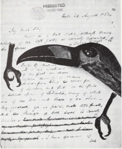 Ilustración de un tucán y su escritura — A Catalogue Of Manuscripts And Drawings In The General