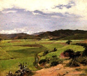 Imagenes wiki arturo michelena 11