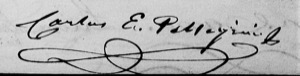 E pellegrinni firma — Carlos E. Pellegrini