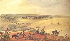 Paisaje rural con cazador y perro — Jean-Baptiste Debret
