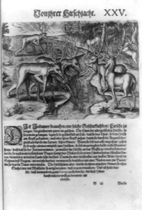 Cacería de ciervos en un bosque exuberante — Jacques Le Moyne de Morgues